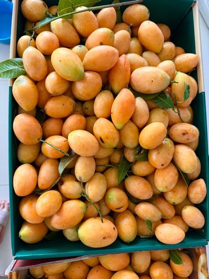 มะยงชิด 1 กิโล