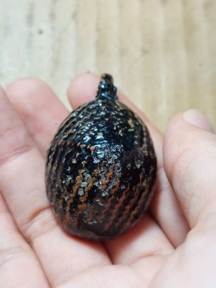 เครื่องรางเบี้ยแก้หลวงปู่รอดวัดนายโรงเก่า รูปที่ 5