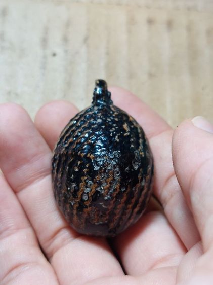 เครื่องรางเบี้ยแก้หลวงปู่รอดวัดนายโรงเก่า รูปที่ 6