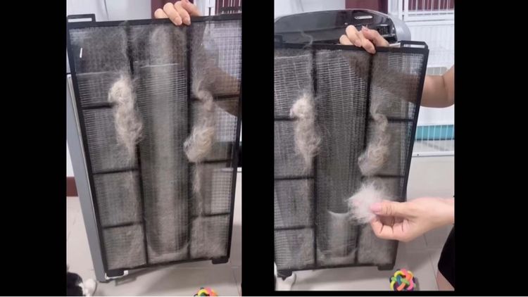 เครื่องกรองอากาศ รูปที่ 4