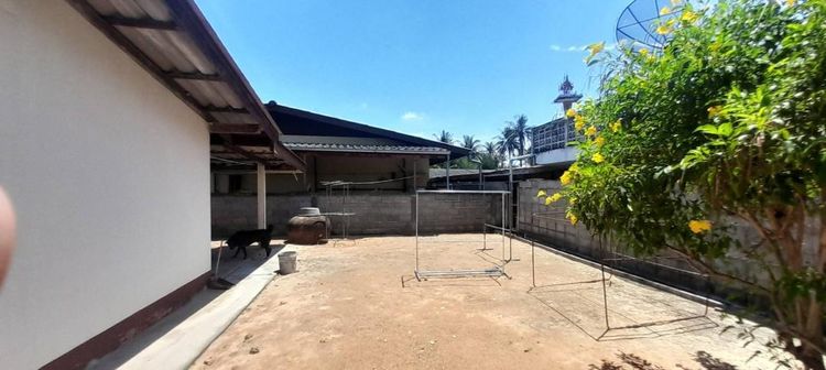 ขายที่ดินพร้อม 2 หลัง 200 ตรว เป็นโฉนด เพชรบุรี อำเภอชะอำ (งดนายหน้าเพิ่มครับ) รูปที่ 4