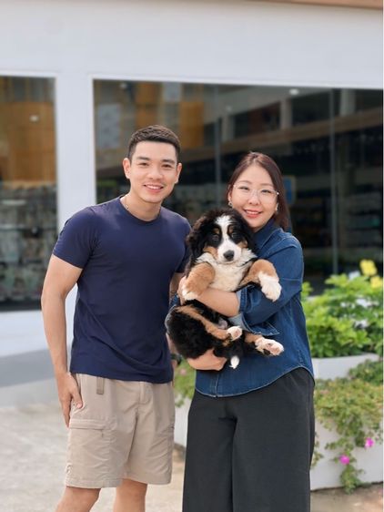 ลูกสุนัขพันธุ์เบอร์นีสเมาน์เทนด็อกนำเข้า รูปที่ 18