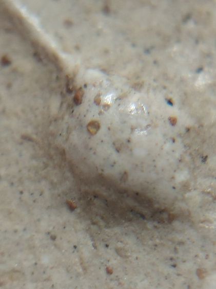 พิมพ์ใหญ่วัดระฆัง(เปิด9ล้านบาท)ต่อรองใด้ รูปที่ 9