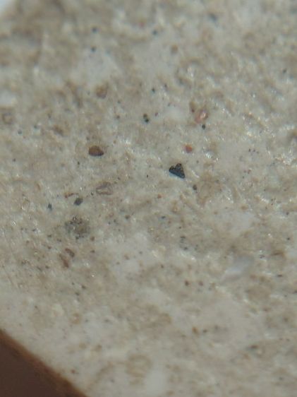 พิมพ์ใหญ่วัดระฆัง(เปิด9ล้านบาท)ต่อรองใด้ รูปที่ 17