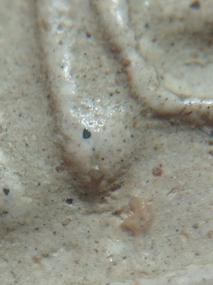 พิมพ์ใหญ่วัดระฆัง(เปิด9ล้านบาท)ต่อรองใด้ รูปที่ 15