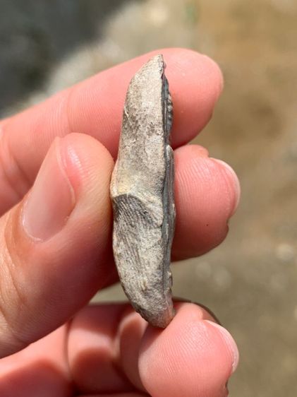 พระลีลาเม็ดขนุน รูปที่ 4