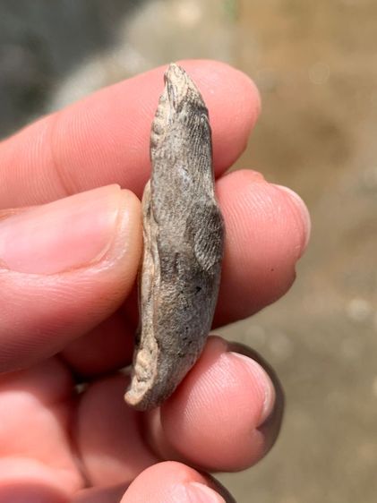 พระลีลาเม็ดขนุน รูปที่ 3