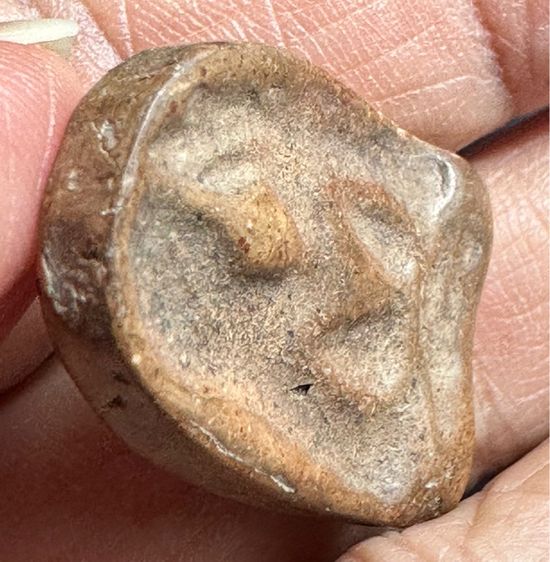 พระกำแพบซุ้มกอพิมพ์กลาง รูปที่ 6