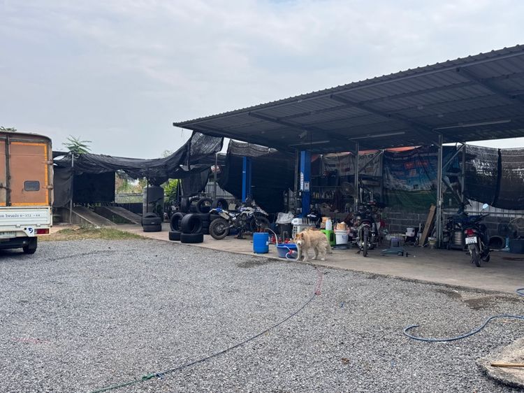 มีบางส่วน 2024 บ้านพร้อมที่ดิน2งานดงบังต้นไม้ปราจีน รูปที่ 3