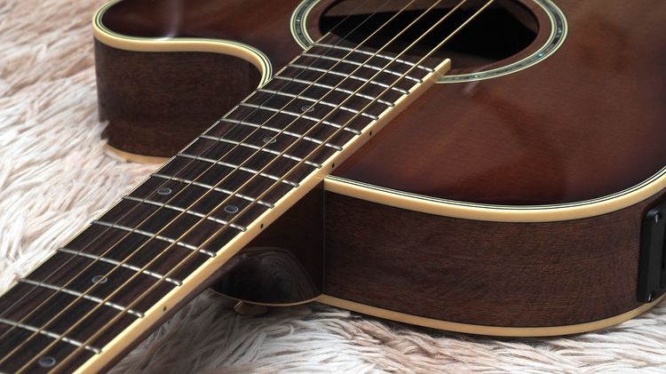ขาย Takamine  TSP138C  รูปที่ 9