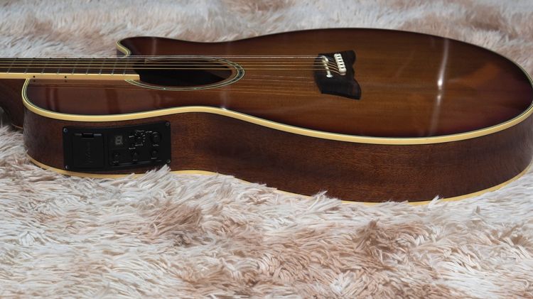 ขาย Takamine  TSP138C  รูปที่ 8
