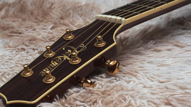 ขาย Takamine  TSP138C  รูปที่ 10