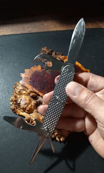 USA.มีดพับชุดจากอเมริกา ปี 1967 แท้เก่าโบราณสภาพสุดเยี่ยม รูปที่ 17