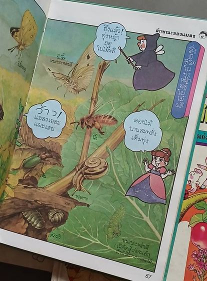 สนุกกับวิทยาศาสตร์ ของซีเอ็ด รูปที่ 7