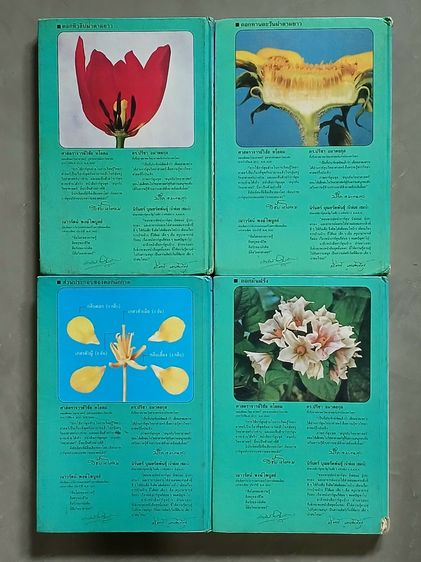 สนุกกับวิทยาศาสตร์ ของซีเอ็ด รูปที่ 2