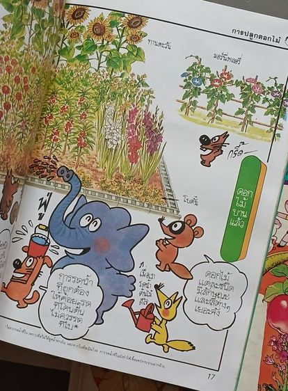 สนุกกับวิทยาศาสตร์ ของซีเอ็ด รูปที่ 6