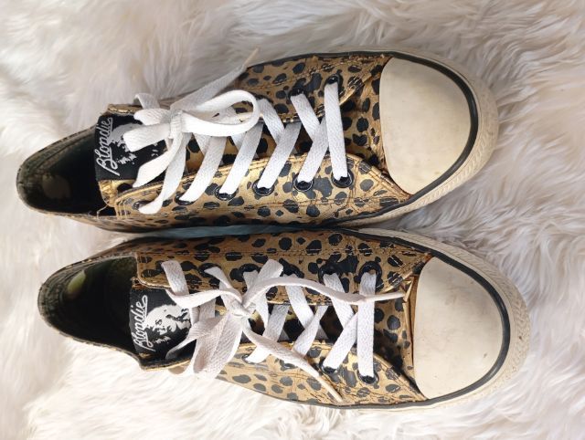 รองเท้าผ้าใบ รูปที่ 2