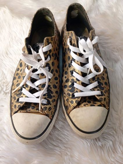 รองเท้าผ้าใบ รูปที่ 4