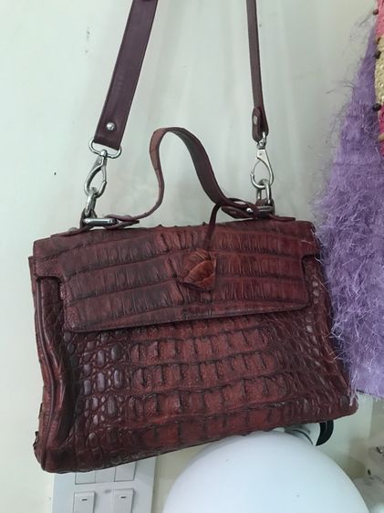 เข้แท้ รูปที่ 2