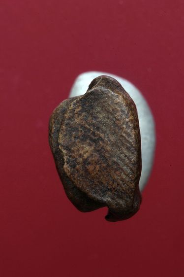 พระรอดลำพูนสวยๆค่ะเก่าค่ะ รูปที่ 5