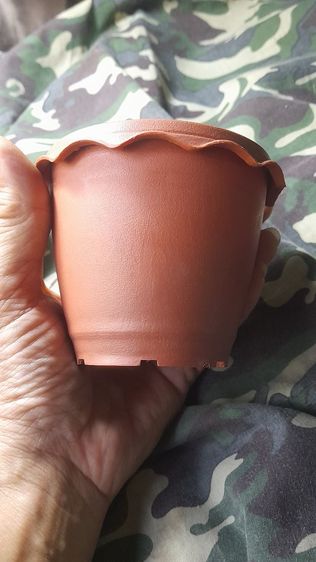 ♦️✨️กระถางจิ๋ว✨️♦️