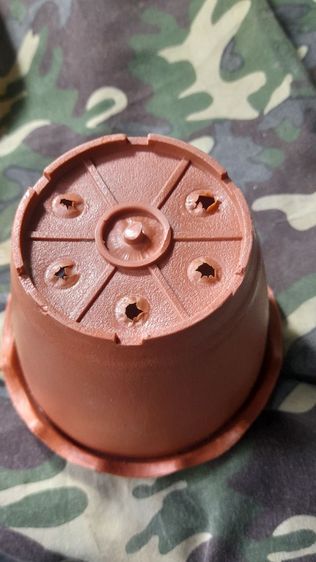 ♦️✨️กระถางจิ๋ว✨️♦️ รูปที่ 3