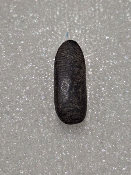 พระลีลาหย่อง หลวงพ่อทาบ วัดกระบกขึ้นผึ้ง  รูปที่ 2