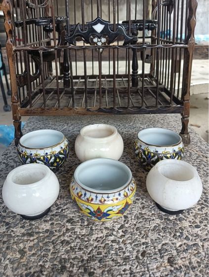 อุปกรณ์สัวต์เลี้ยงนกหัวจุก