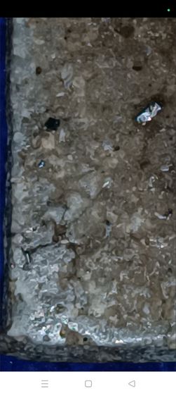 พระสมเด็จวัดระฆัง รูปที่ 11