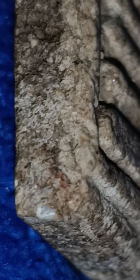 พระสมเด็จวัดระฆัง รูปที่ 16