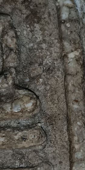 พระสมเด็จวัดระฆัง รูปที่ 7