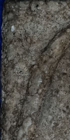 พระสมเด็จวัดระฆัง รูปที่ 3