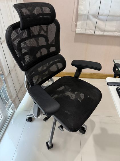 เก้าอี้เพื่อสุขภาพ DF Prochair รุ่น Ergo 2ดำ