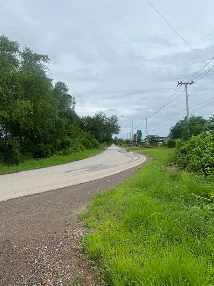 ขายที่ดินเขาย้อย รูปที่ 4