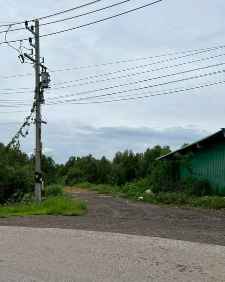 ขายที่ดินเขาย้อย รูปที่ 2