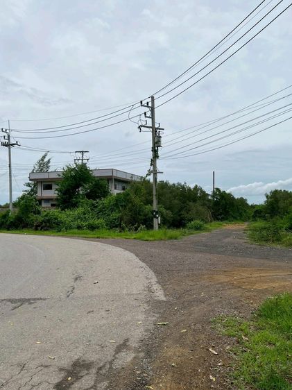 ขายที่ดินเขาย้อย รูปที่ 3