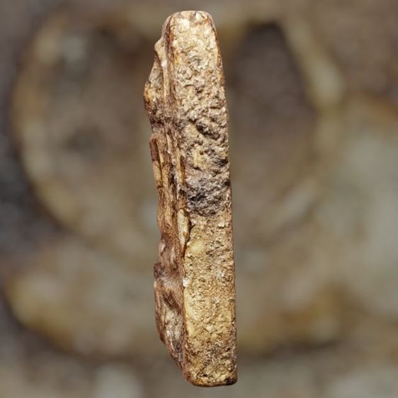 พระสมเด็จ รูปที่ 3