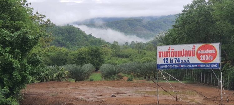 ที่ดินใกล้ทางขึ้นภูทับเบิก รูปที่ 3