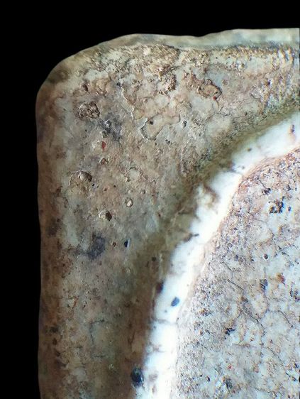 ลายเครือเถา  2411. รูปที่ 10