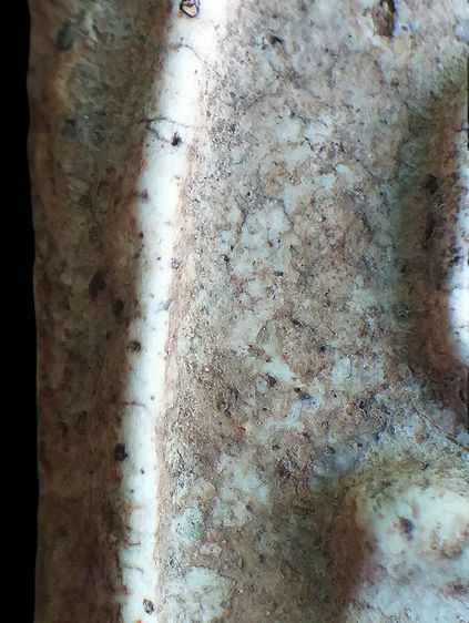 ลายเครือเถา  2411. รูปที่ 11