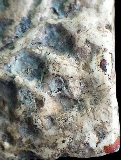 ลายเครือเถา  2411. รูปที่ 18