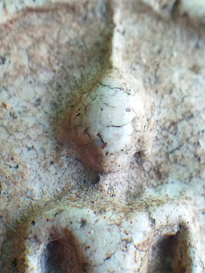 ลายเครือเถา  2411. รูปที่ 6