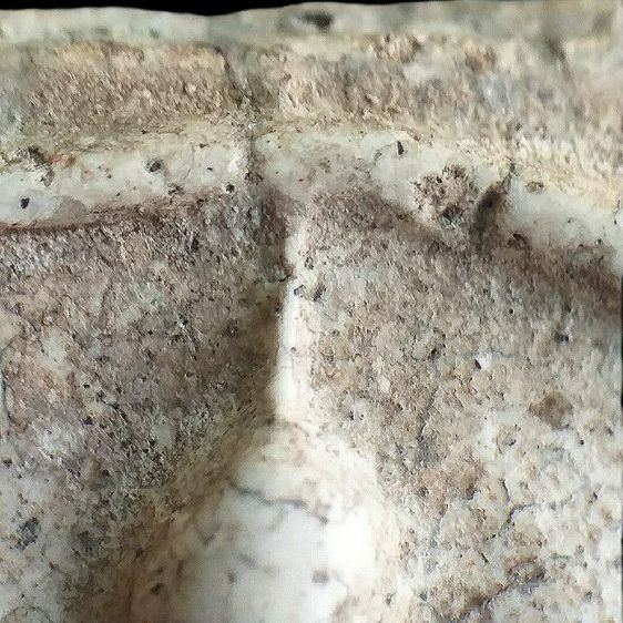 ลายเครือเถา  2411. รูปที่ 5