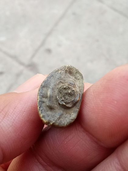 พระชัยวัฒน์ หลวงปู่บุญ วัดกลางบางแก้ว รูปที่ 3