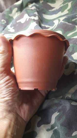 ♦️✨️ ข. ✨️♦️ รูปที่ 10