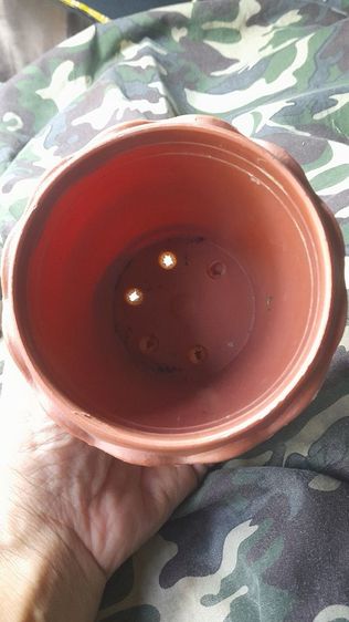 ♦️✨️ ข. ✨️♦️ รูปที่ 11