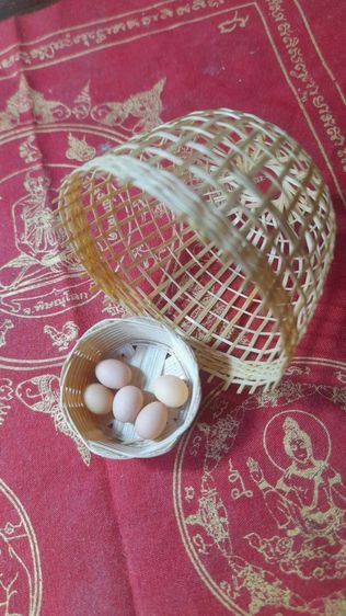 ♦️✨️สุ่ม✨️♦️