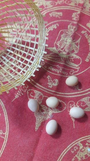 ♦️✨️สุ่ม✨️♦️ รูปที่ 3