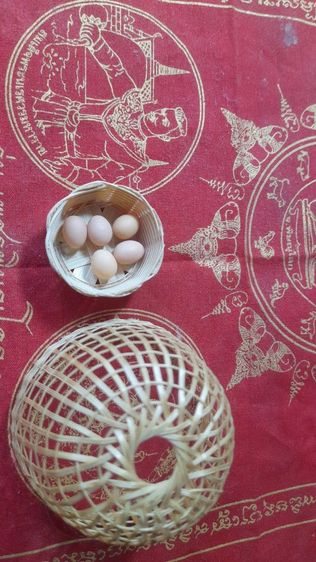 ♦️✨️สุ่ม✨️♦️ รูปที่ 8