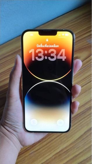 iPhone13 Pro Max 256GB